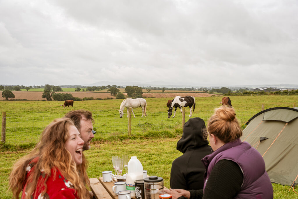Campers sitting at a picnic table beside a tent, enjoying hot drinks while horses graze in the nearby paddock