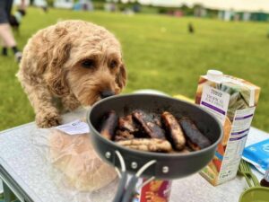 Curly-haired dog sniffing a camping frying pan of cooked sausages on a picnic table, with a carton of tropical juice beside it.