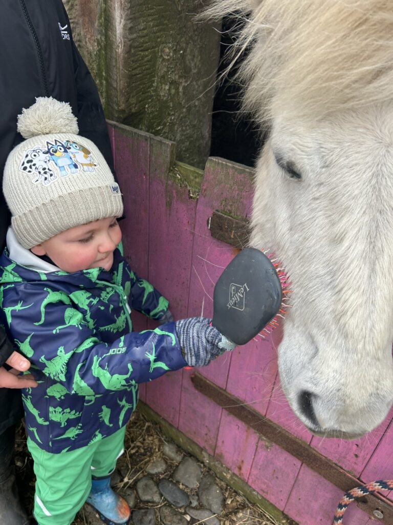 Small child in a bobble hat gently brushing a white pony over a stable door.