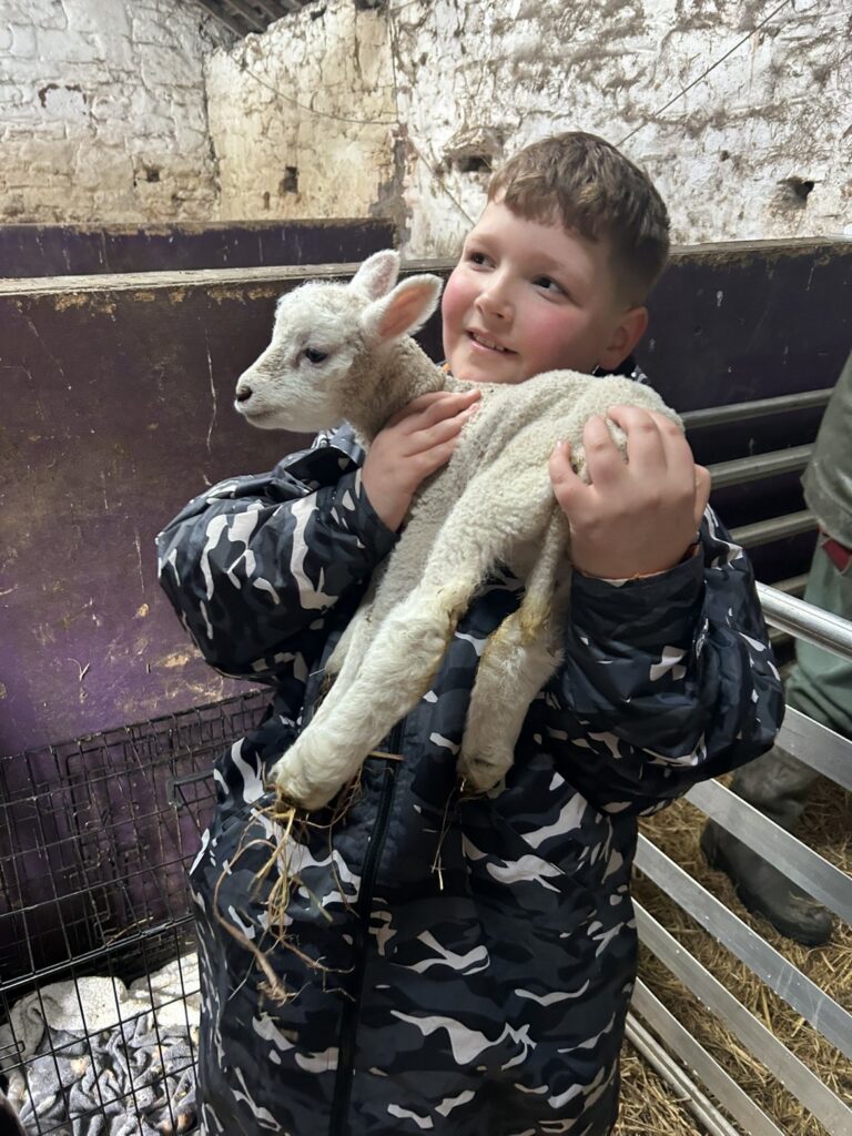 Child in a camouflage coat holding a lamb inside a barn pen.