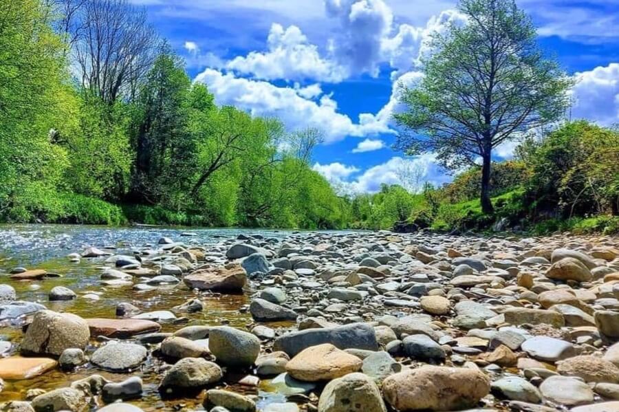 Pebbles alongside the River Caldew