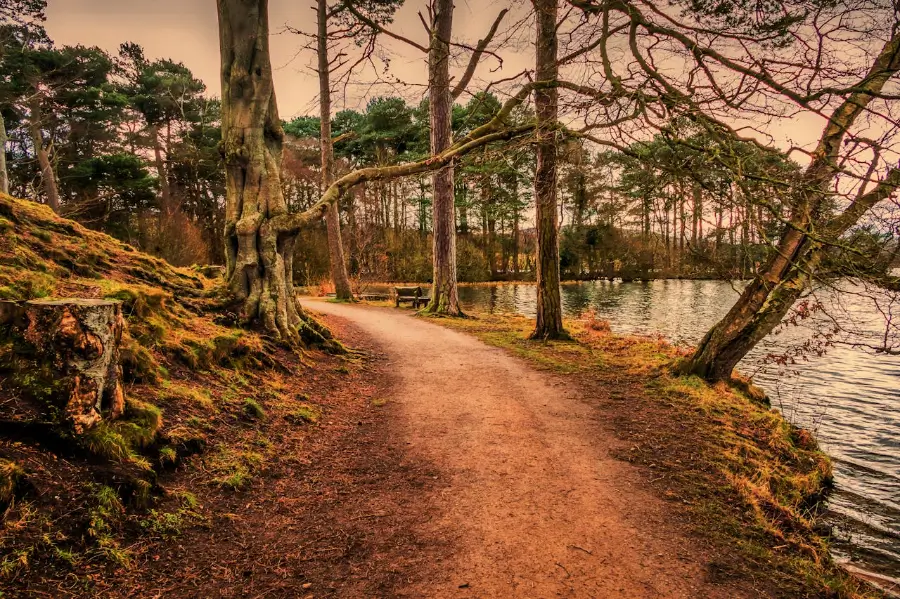Path alongside Talkin Tarn