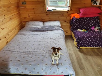 Pet friendly camping pod