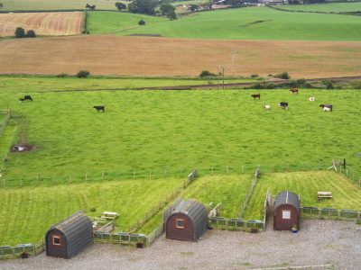 Aerial view of three camping pods beside fenced grassy pitches, with cows grazing in fields and rolling countryside beyond.