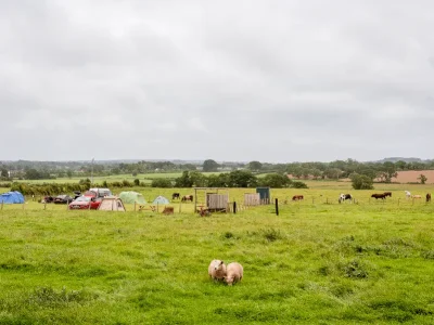 View of fields from the campsite