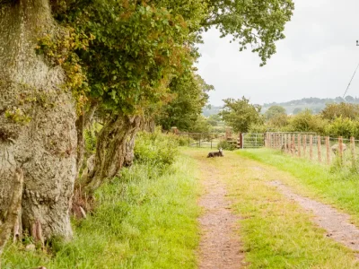 Farm track at Cardewelees